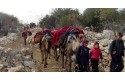 Son Göç