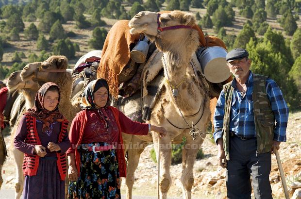 Sarıkeçililer