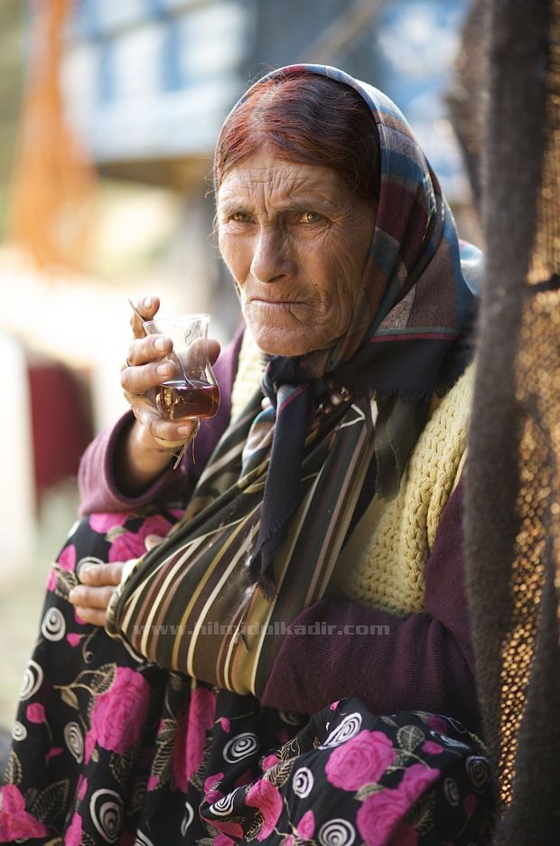 Sarıkeçililer